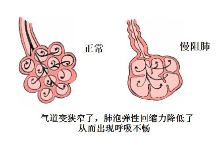 &#31859;&#20848;&#23448;&#26041;&#31449;&#32593;&#39029;&#29256;&#45;&#31859;&#20848;&#40;&#20013;&#22269;&#41;
