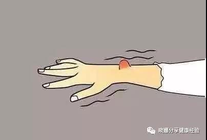 &#31859;&#20848;&#23448;&#26041;&#31449;&#32593;&#39029;&#29256;&#45;&#31859;&#20848;&#40;&#20013;&#22269;&#41;