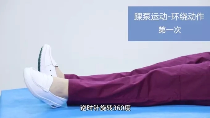 &#31859;&#20848;&#23448;&#26041;&#31449;&#32593;&#39029;&#29256;&#45;&#31859;&#20848;&#40;&#20013;&#22269;&#41;