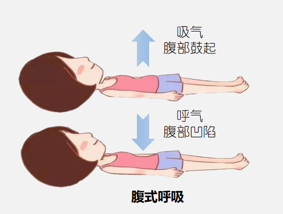 &#31859;&#20848;&#23448;&#26041;&#31449;&#32593;&#39029;&#29256;&#45;&#31859;&#20848;&#40;&#20013;&#22269;&#41;